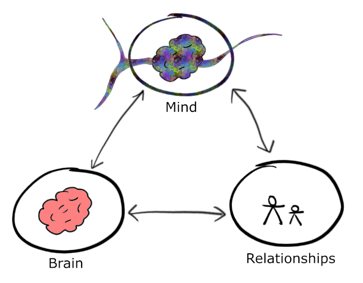 The triangle of mind, brain, relationships